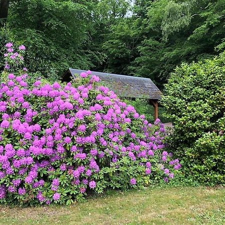 "La Homerie" Chaumiere En Pleine Nature Savigny-en-Sancerre Zewnętrze zdjęcie