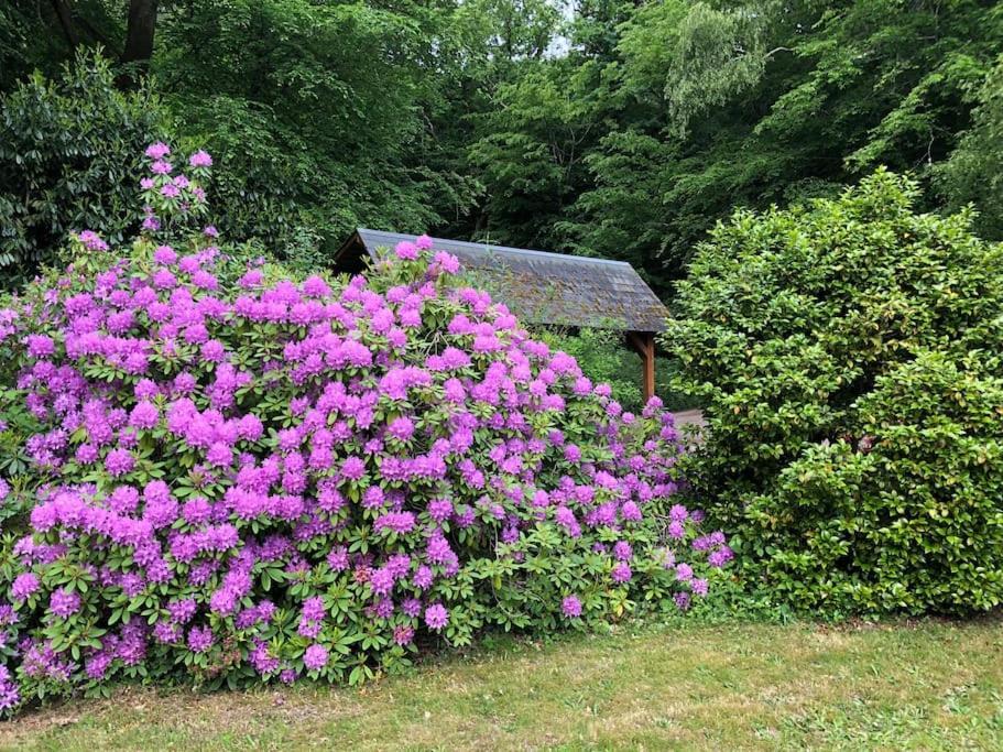 "La Homerie" Chaumiere En Pleine Nature Savigny-en-Sancerre Zewnętrze zdjęcie