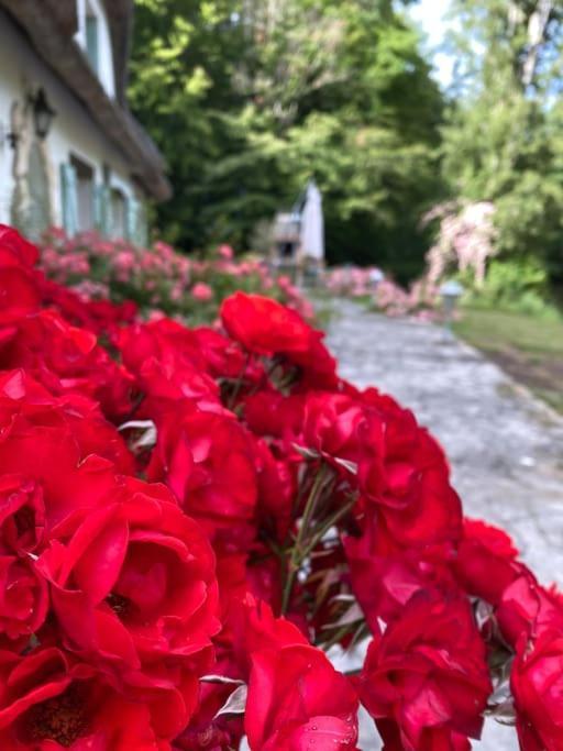 "La Homerie" Chaumiere En Pleine Nature Savigny-en-Sancerre Zewnętrze zdjęcie
